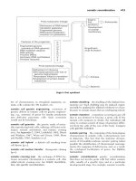 A Dictionary of Genetics phần 8 doc