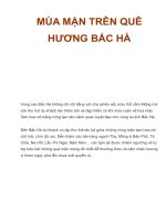 MÙA MẬN TRÊN QUÊ HƯƠNG BẮC HÀ docx