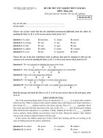 ĐỀ THI THỬ TỐT NGHIỆP THPT NĂM 2011 MÔN: Tiếng Anh - Mã đề thi 295 pptx