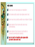 Cơ sở di truyền ung thư part 9 pdf