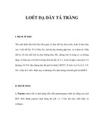 LOÉT DẠ DÀY TÁ TRÀNG pdf