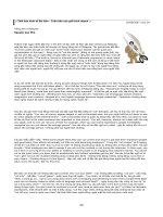 tiếng anh theo dòng thời sự phần 3 pdf