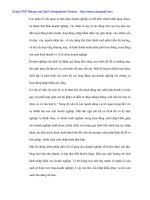 Hoàn thiện xuất nhập khẩu và các vướng mắc của doanh nghiệp - 2 ppsx