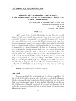 Báo cáo nghiên cứu khoa học: 