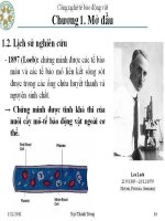 Công nghệ tê bào động vật part 4 pptx