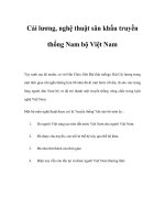 Cải lương, nghệ thuật sân khấu truyền thống Nam bộ Việt Nam pptx