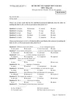ĐỀ THI THỬ TỐT NGHIỆP THPT NĂM 2011 MÔN: Tiếng Anh - Mã đề thi 016 doc