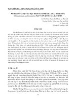 Báo cáo nghiên cứu khoa học: 