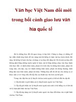 Văn học Việt Nam đổi mới trong bối cảnh giao lưu văn hóa quốc tế pot