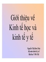 giới thiệu về kinh tế học và kinh tế y tế