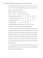 Giải pháp nâng cao hiệu quả vốn đầu tư ở Bắc Giang - 6 docx