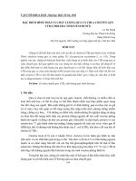 Báo cáo nghiên cứu khoa học: 