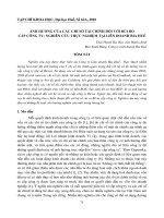 Báo cáo nghiên cứu khoa học: ẢNH HƯỞNG CỦA CÁC CHỈ SỐ TÀI CHÍNH ĐỐI VỚI RỦI RO CẤP CÔNG TY: NGHIÊN CỨU THỰC NGHIỆM TẠI LIÊN DOANH BIA HUẾ