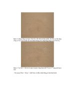 Giáo trình hướng dẫn cắt ghép tranh ảnh trên nền transform wrap biếm họa phần 8 pptx