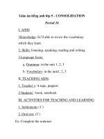 Giáo án tiếng anh lớp 5 - CONSOLIDATION Period 16 pps