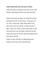 Ngắm những hình ảnh tuyệt đẹp về Dubai docx