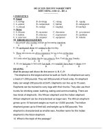 ĐỀ LUYỆN THI TỐT NGHIỆP THPT MÔN TIẾNG ANH 12 – ĐỀ A ppt