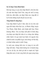 Kỳ bí tháp Chăm Bình Định pot