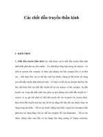 Các chất dẫn truyền thần kinh ppt