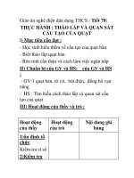 Giáo án nghề điện dân dụng THCS - Tiết 70: THỰC HÀNH : THÁO LẮP VÀ QUAN SÁT CẤU TẠO CỦA QUẠT pps