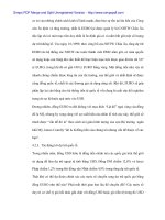 Sự biến động của tỉ giá EURO và ảnh hưởng tới Việt Nam - 3 pps