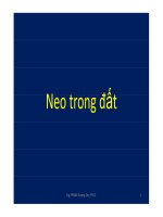 Neo và tường chắn đất - Phần 2 pptx