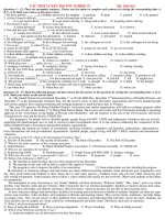 CÁC TEST LUYỆN THI TỐT NGHIỆP (7) pdf