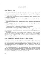 VÙNG DƯỚI ĐỒI pps