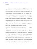 Bán hàng thương mại điện tử ở Việt Nam - 1 pptx