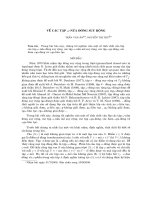 Báo cáo nghiên cứu khoa học: 