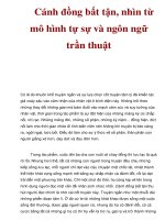 Cánh đồng bất tận, nhìn từ mô hình tự sự và ngôn ngữ trần thuật pdf
