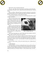 Giáo trình hướng dẫn tìm hiểu về cấu tạo cơ quan tiêu hóa ở động vật nhai lại phần 8 docx