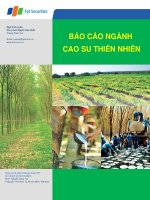 BÁO cáo NGÀNH CAO SU THIÊN NHIÊN giai đoạn 2000 2011 công ty cổ phần chứng khoán FPT chi nhánh tp hồ chí minh