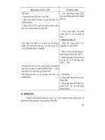 Thiết kế bài giảng Địa Lý 11 tập 1 part 7 potx