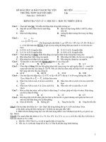 KIỂM TRA VẬT LÝ 11 HỌC KÌ 1 - BAN TỰ NHIÊN (ĐỀ 4) pptx