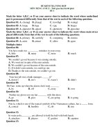 ĐỀ KIỂM TRA TỔNG HỢP MÔN TIẾNG ANH 12 - ĐỀ 4 docx