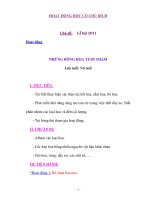 HOẠT ĐỘNG HỌC CÓ CHỦ ĐÍCH Chủ đề: Lễ hội 20/11 pps