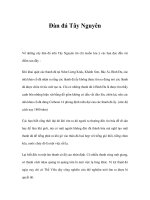 Đàn đá Tây Nguyên pot