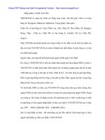 Nâng cao mô hình xuất nhập khẩu ủy thác - 4 pdf