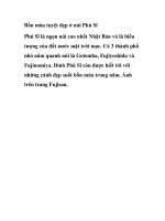 Bốn mùa tuyệt đẹp ở núi Phú Sĩ pot