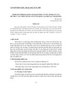 Báo cáo nghiên cứu khoa học: 