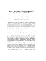 A VERY BRIEF INTRODUCTION TO FINANCIAL ENGINEERING VIA MATLAB