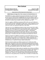 DỰ báo THỊ TRƯỜNG gạo THẾ GIỚI 2008  rice outlook economic research service 2008