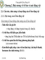 Công nghệ tê bào động vật : Đại cương về tế bào và mô động vật part 2 doc