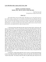 Báo cáo nghiên cứu khoa học: 