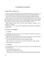 CÁC HORMON TẠI CHỖ pot