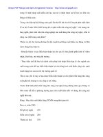 Hỗ trợ xuất khẩu thủ công mỹ nghệ sanh Nhật Bản - 6 pptx