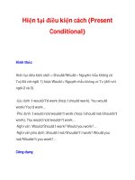 Hiện tại điều kiện cách (Present Conditional) pps