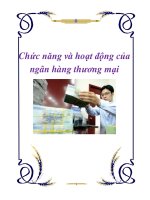 Chức năng và hoạt động của ngân hàng thương mại pps