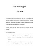 Tràn khí màng phổi (Xẹp phổi) pps